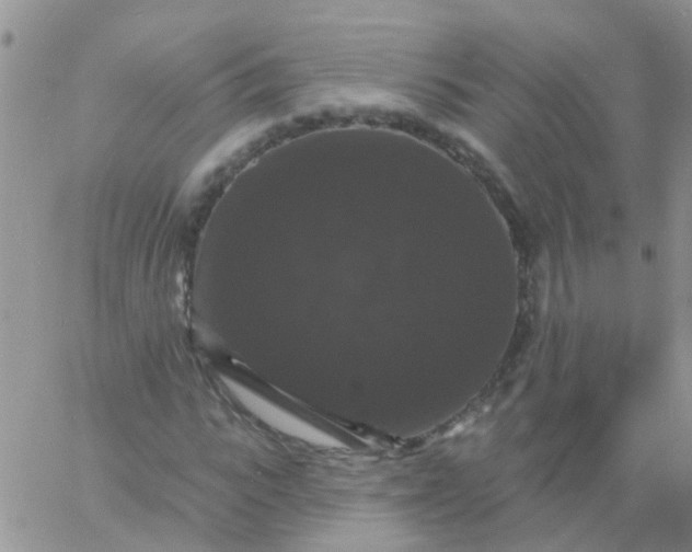 X0000060790919200511241841