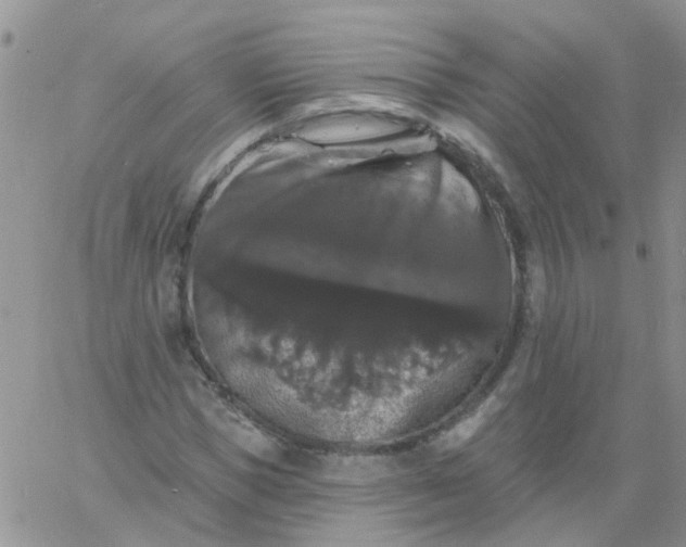 X0000060790921200511241841