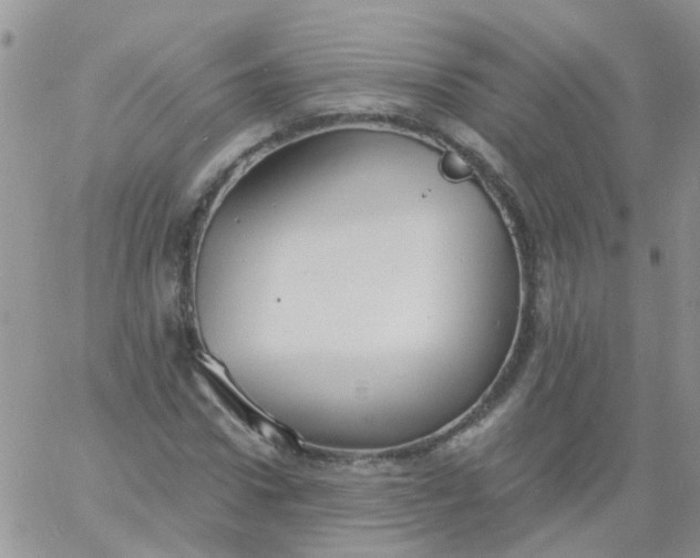 X0000060790922200511241841