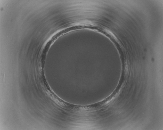 X0000060790923200511241841