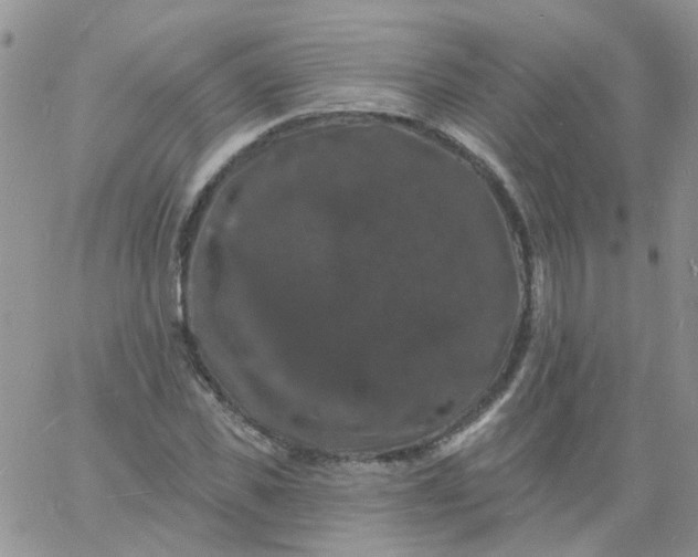 X0000060790925200511241841