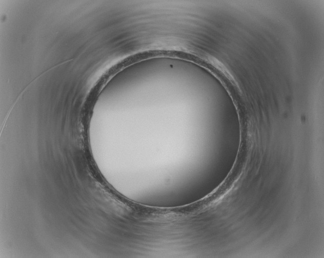 X0000060790926200511241841