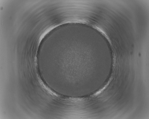 X0000060790928200511241841