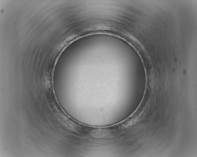 X0000060790929200511241841