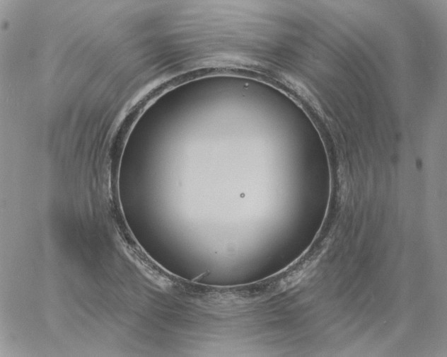 X0000060790931200511241841