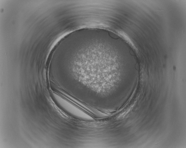 X0000060790932200511241841