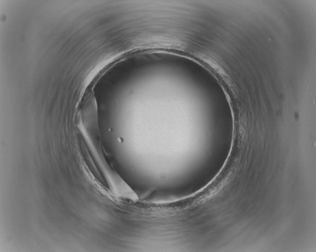 X0000060790933200511241841