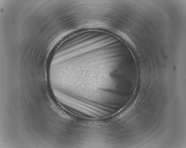 X0000060790934200511241841