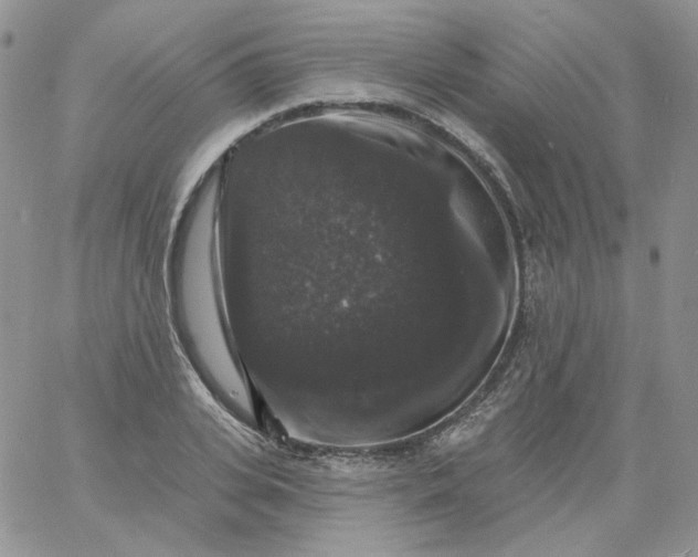 X0000060790935200511241841