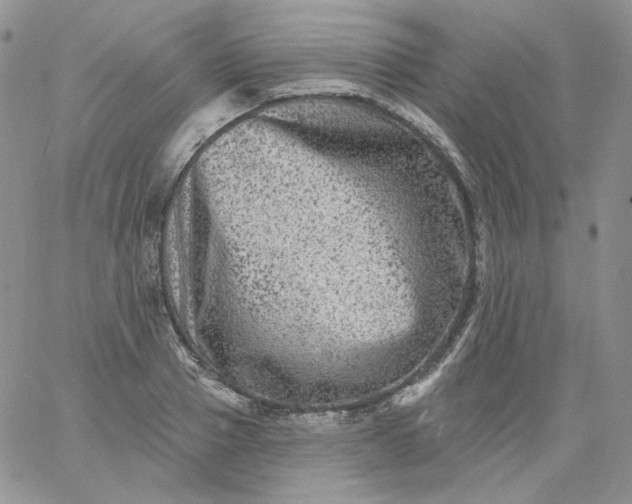 X0000060790937200511241841