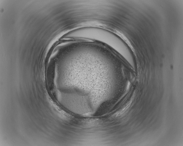 X0000060790939200511241841