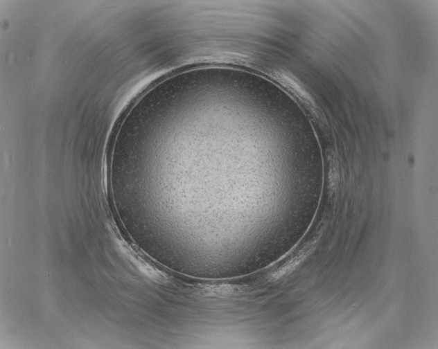 X0000060790940200511241841