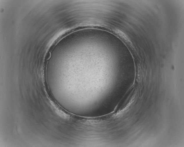 X0000060790942200511241841