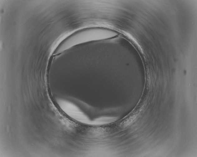 X0000060790943200511241841