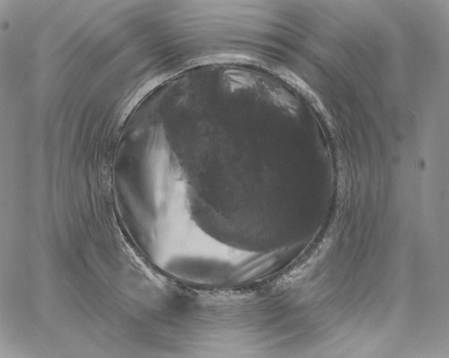 X0000060790945200511241841