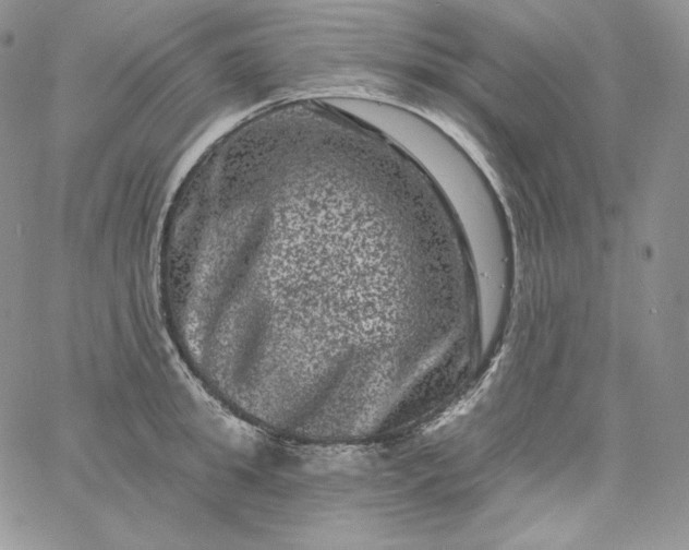 X0000060790949200511241841