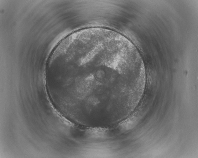 X0000060790950200511241841