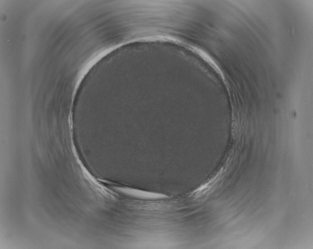 X0000060790951200511241841