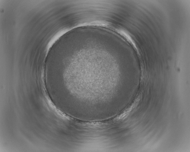 X0000060790952200511241842