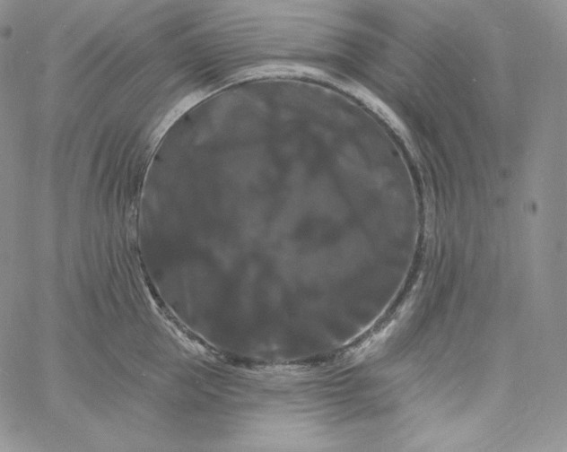 X0000060790953200511241842