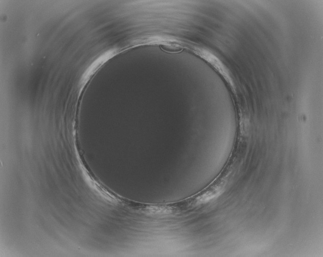 X0000060790954200511241842