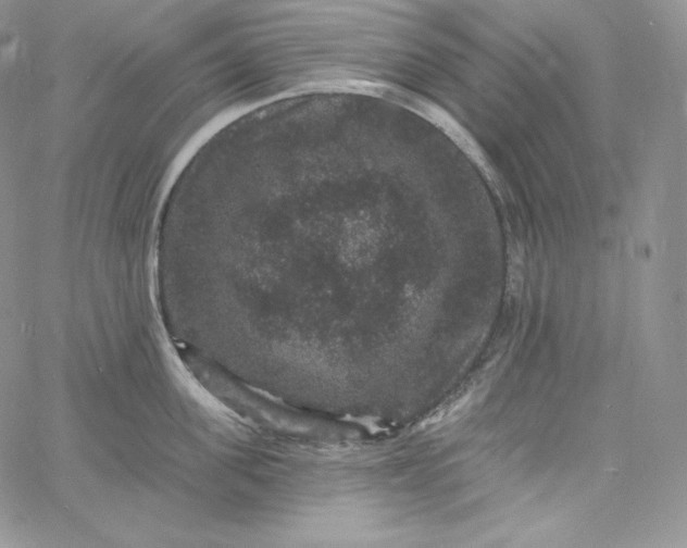 X0000060790955200511241842