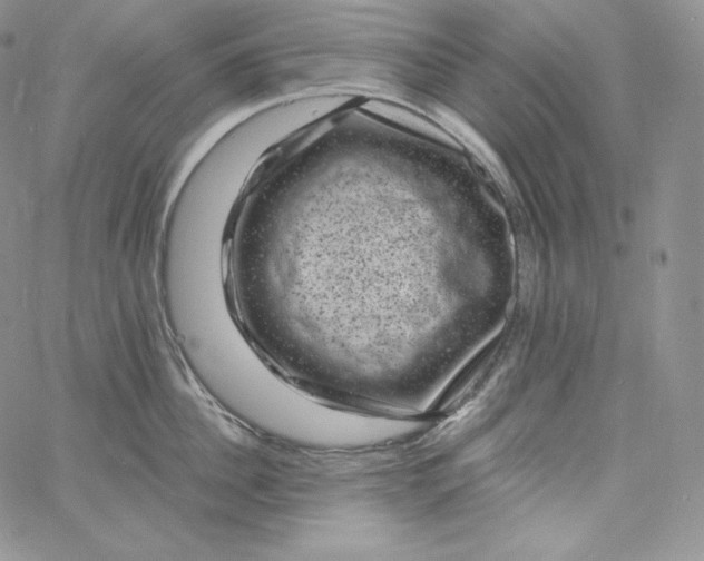 X0000060790956200511241842