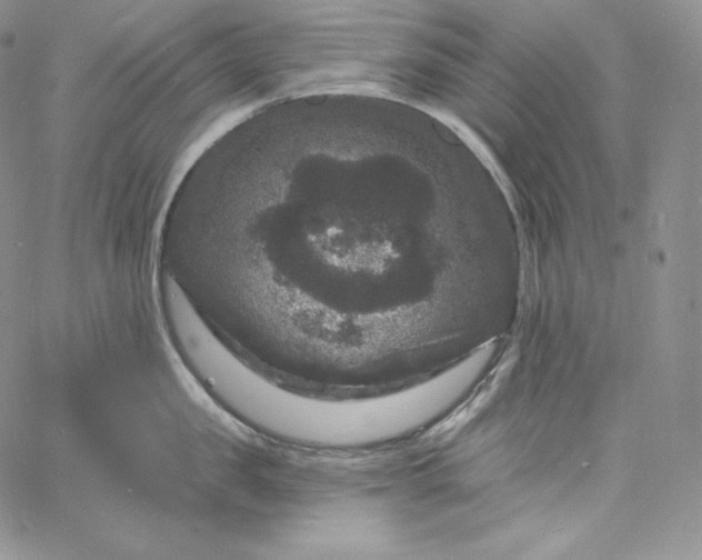 X0000060790957200511241842