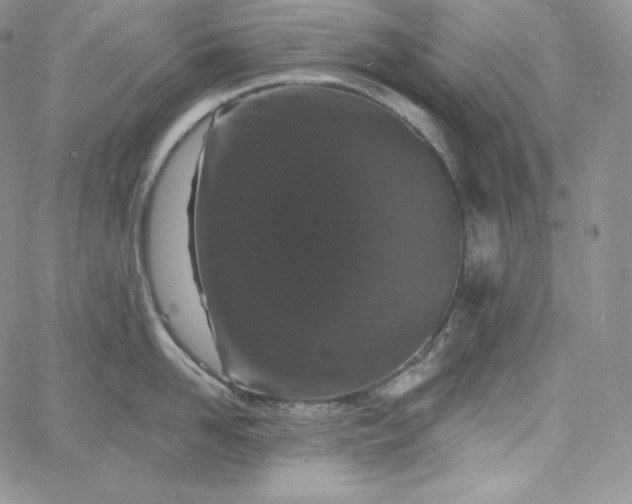 X0000060790958200511241842