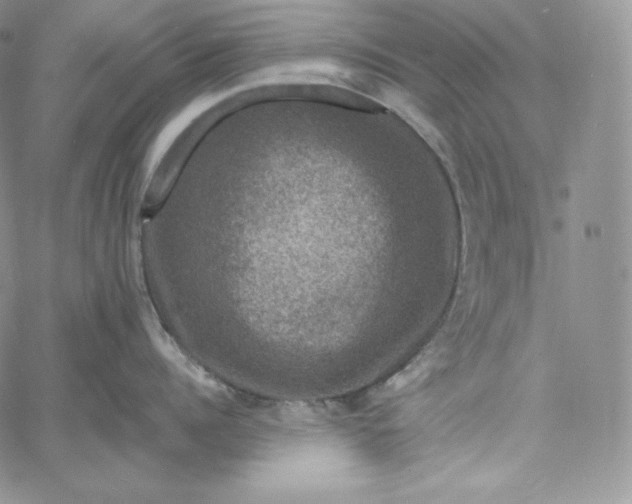 X0000060790960200511241842