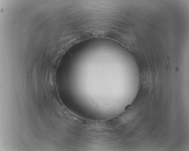 X0000060790962200511241841