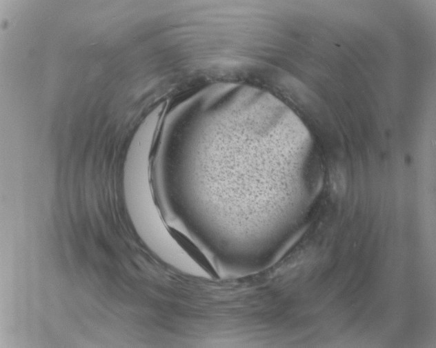 X0000060790964200511241841