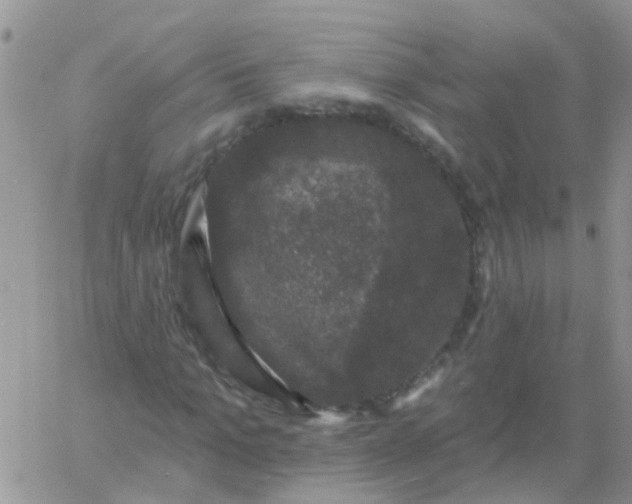 X0000060790965200511241841