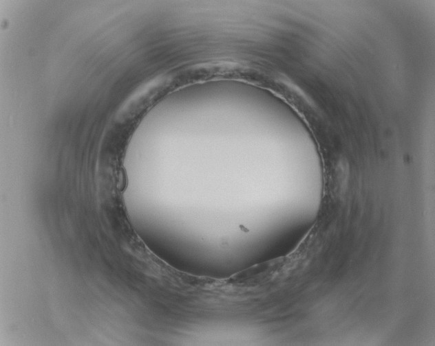 X0000060790967200511241841