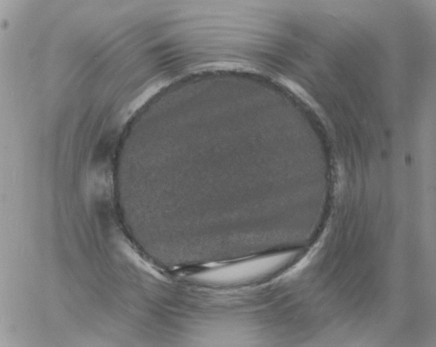 X0000060790969200511241841