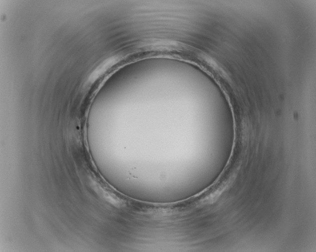 X0000060790970200511241841