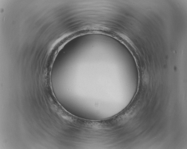 X0000060790971200511241841