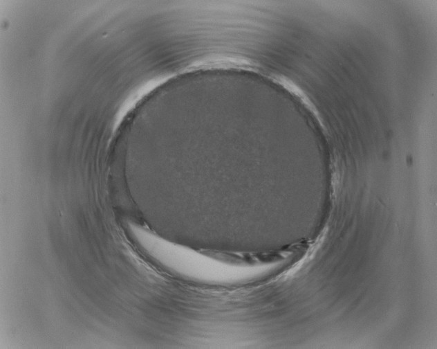 X0000060790973200511241841