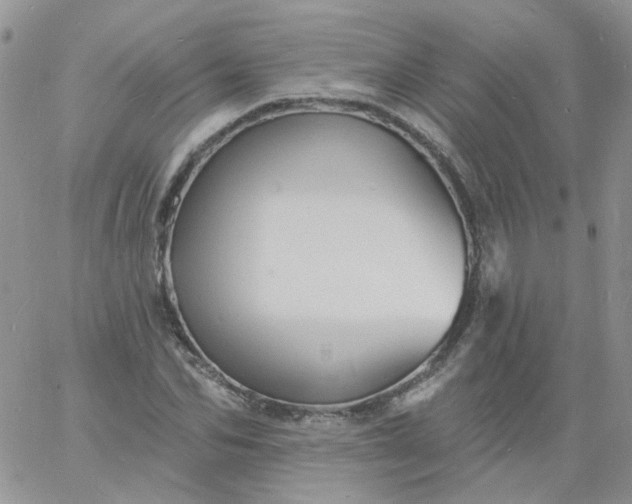 X0000060790974200511241841