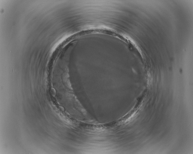 X0000060790975200511241841