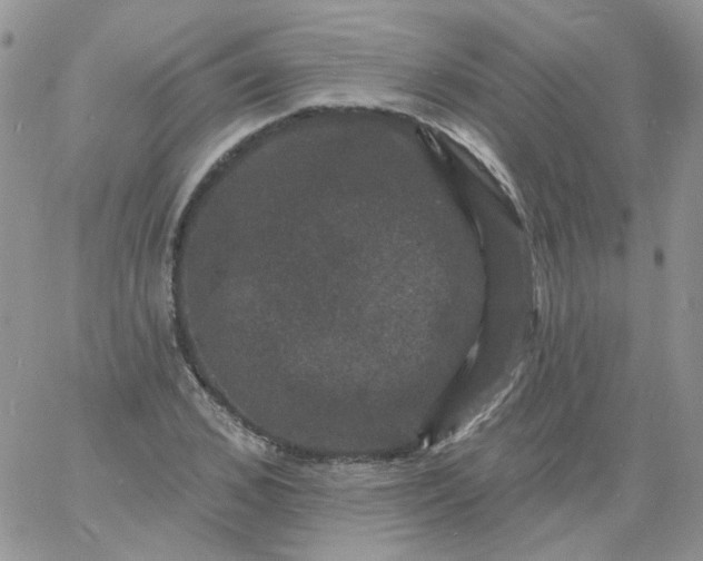 X0000060790976200511241841