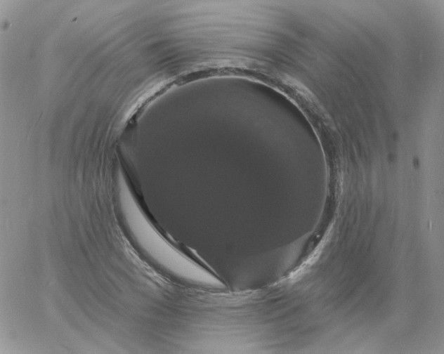 X0000060790977200511241841