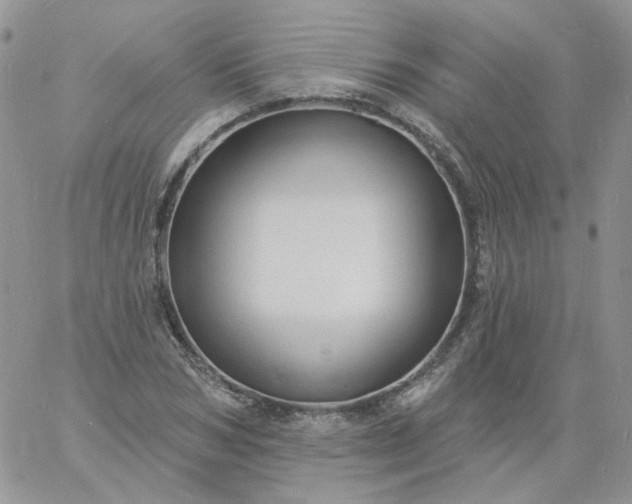 X0000060790978200511241841