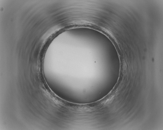 X0000060790979200511241841