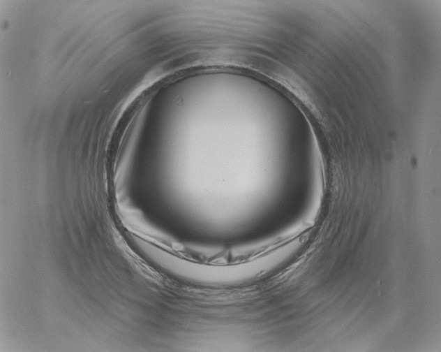 X0000060790980200511241841