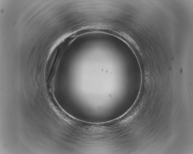 X0000060790981200511241841