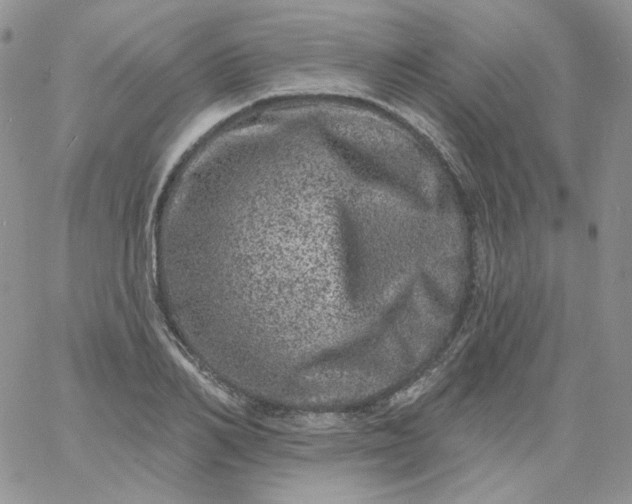 X0000060790982200511241841