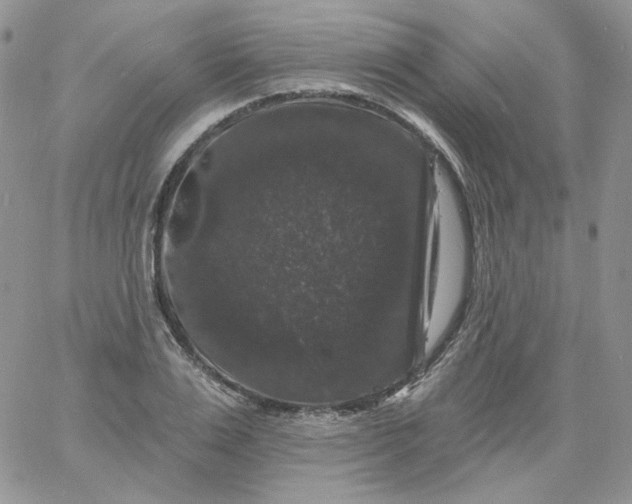 X0000060790983200511241840