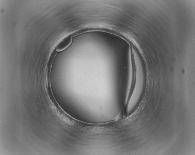 X0000060790984200511241840