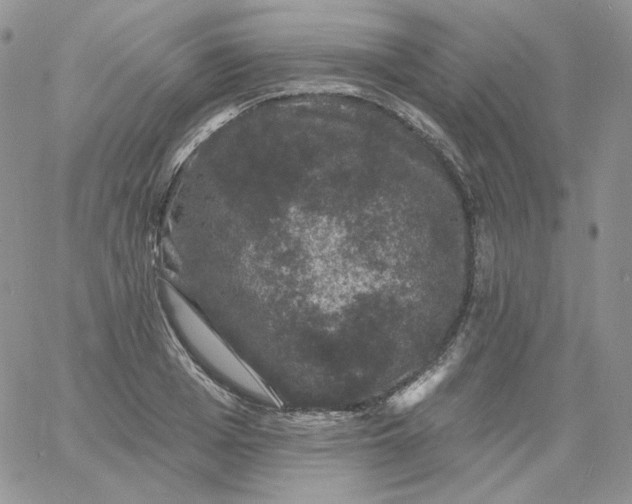 X0000060790985200511241840